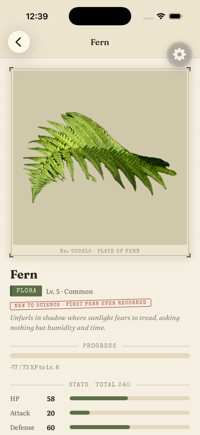 A specimen page: the first Fern ever recorded